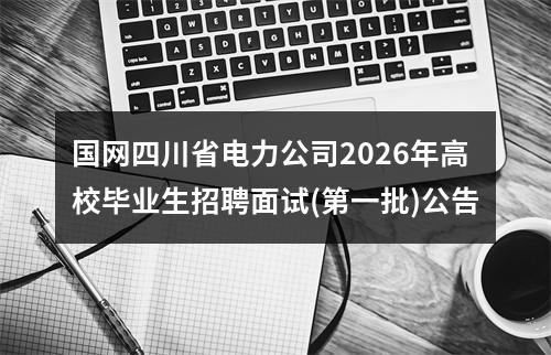 国网四川省电力公司2026年高校毕业生招聘面试(第一批)公告 图片