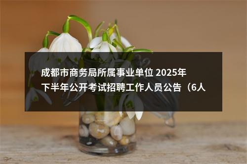成都市商务局所属事业单位 2025年下半年公开考试招聘工作人员公告（6人） 图片