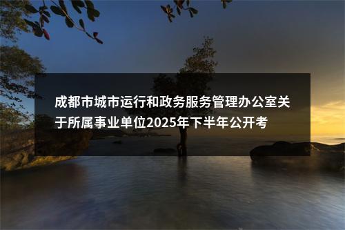 成都市城市运行和政务服务管理办公室关于所属事业单位2025年下半年公开考试招聘工作人员公告（1人） 图片