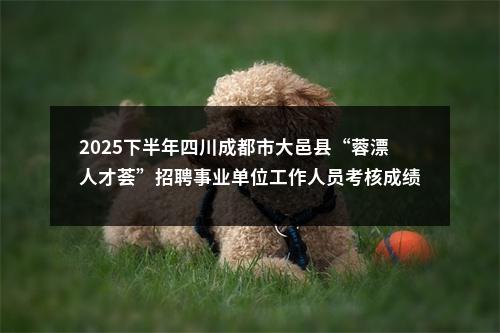 2025下半年四川成都市大邑县“蓉漂人才荟”招聘事业单位工作人员考核成绩及体检相关事项的公告（北京站） 图片