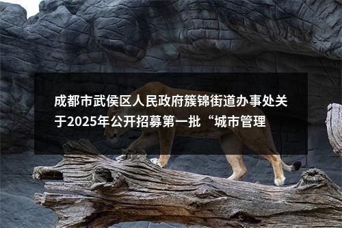 成都市武侯区人民政府簇锦街道办事处关于2025年公开招募第一批“城市管理合伙人”的公告 图片