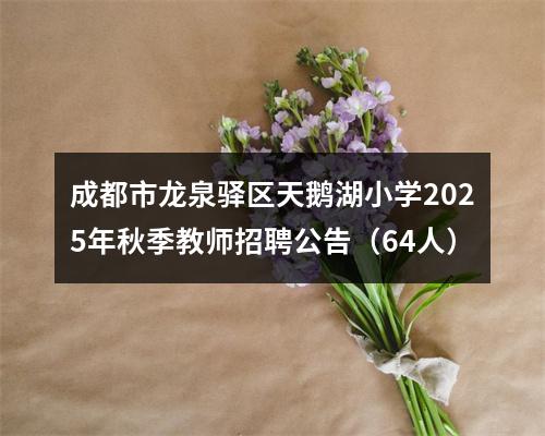 成都市龙泉驿区天鹅湖小学2025年秋季教师招聘公告（64人） 图片