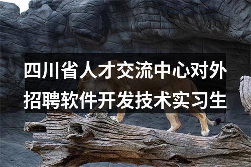 四川省人才交流中心对外招聘软件开发技术实习生 图片