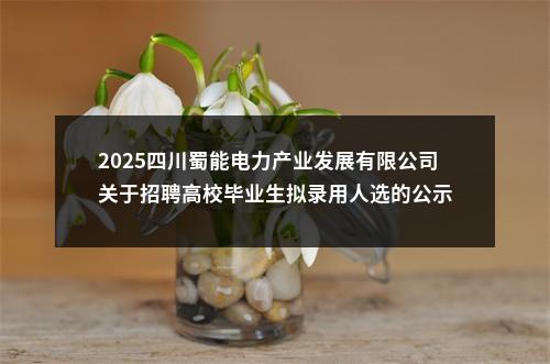2025四川蜀能电力产业发展有限公司关于招聘高校毕业生拟录用人选的公示 图片