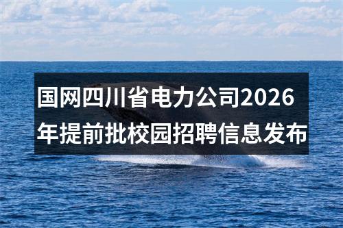 国网四川省电力公司2026年提前批校园招聘信息发布 图片