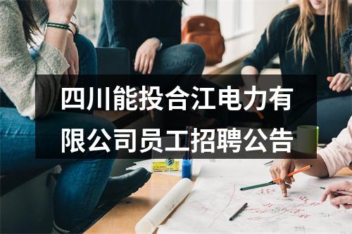 四川能投合江电力有限公司员工招聘公告 图片